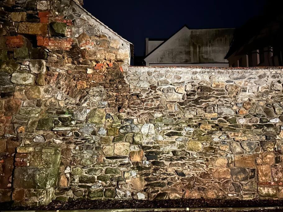 Fewos Anno 1529 In Top-Altstadtlage Von Zittau Eksteriør bilde